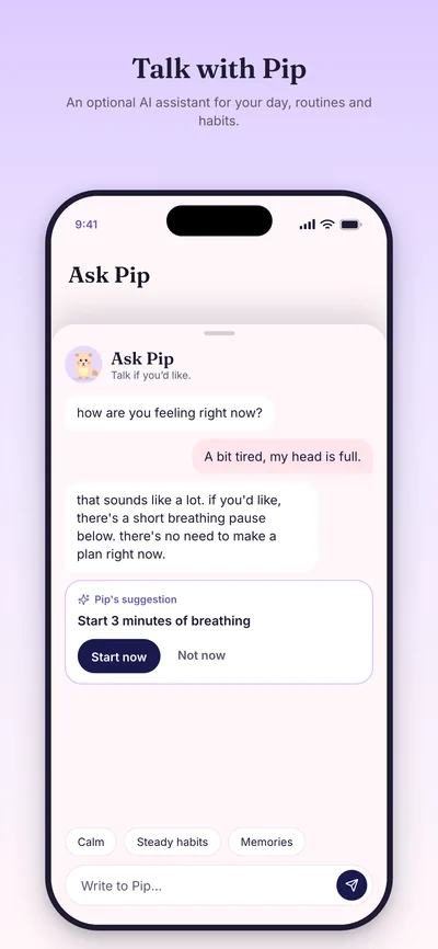 Pip marketing preview with example entries