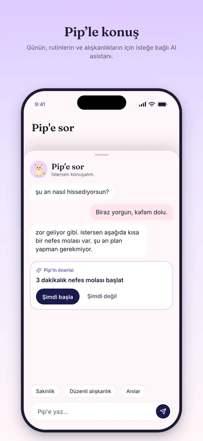 Pip tanıtım önizlemesi, örnek kayıtlarla