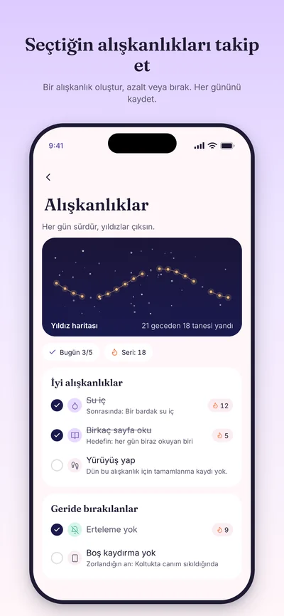 Alışkanlıklar tanıtım önizlemesi, örnek kayıtlarla